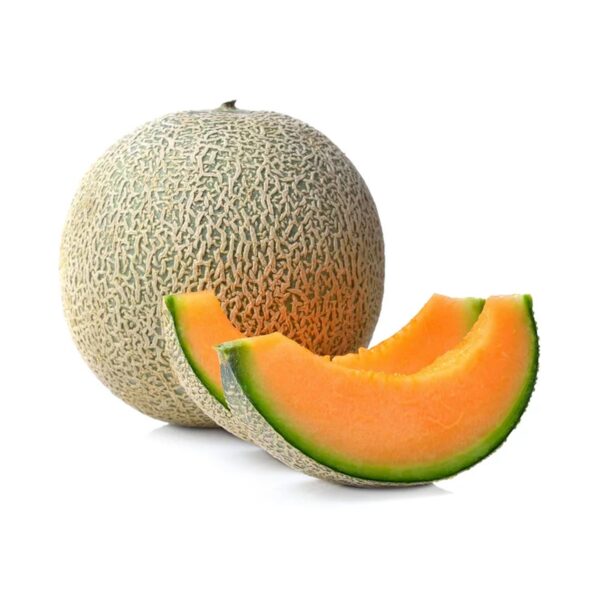 Fresh Cantaloupe, Each